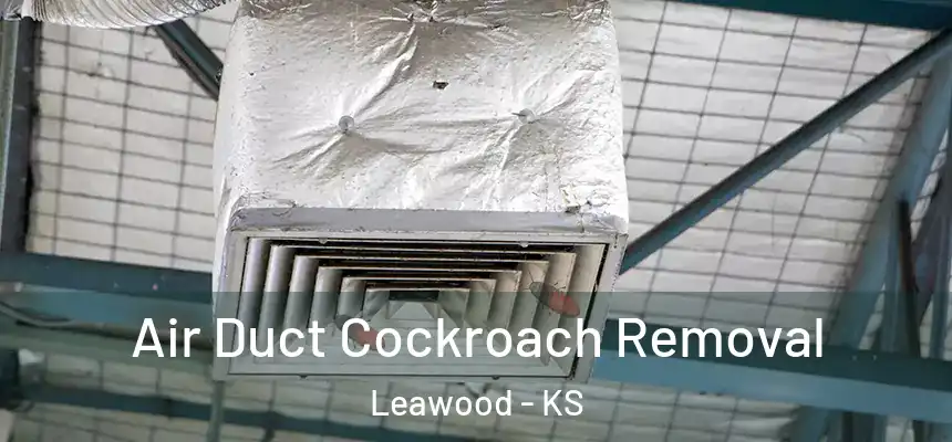  Air Duct Cockroach Removal Leawood - KS