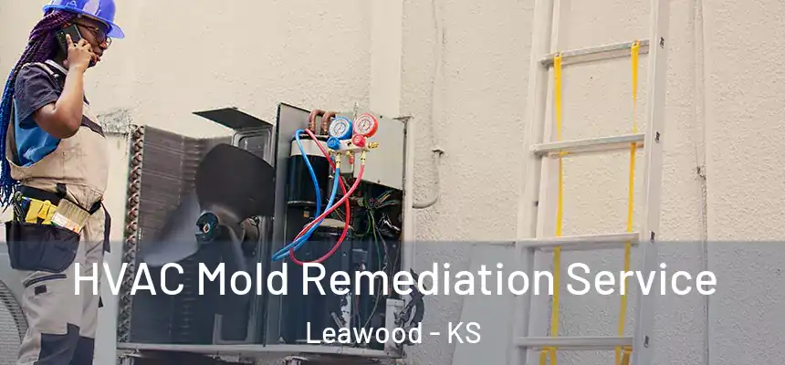  HVAC Mold Remediation Service Leawood - KS
