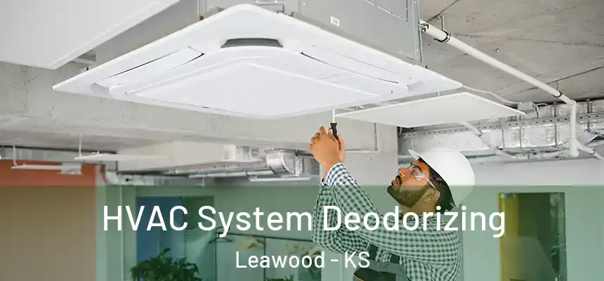  HVAC System Deodorizing Leawood - KS