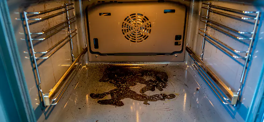 Our Dryer Vent Mold Cleaning Services in Leawood, KS