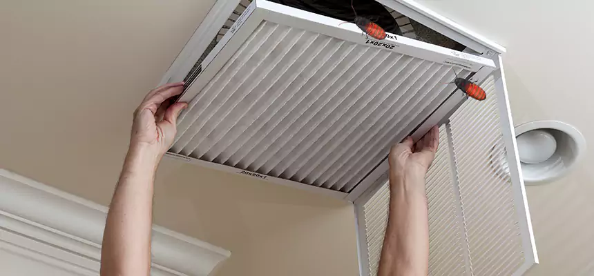 Our Insect Removal from Air Ducts Services in Leawood, KS
