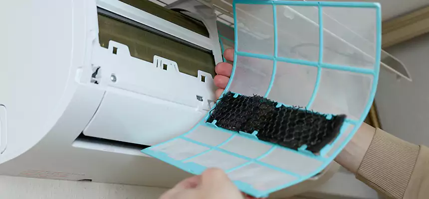 Gentle Ductwork Odor-Control Pet Dander Duct Cleaning in Leawood, KS