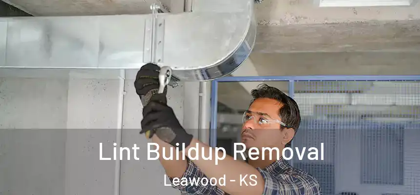 Lint Buildup Removal Leawood - KS