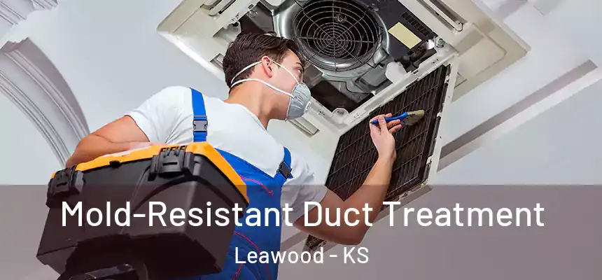  Mold-Resistant Duct Treatment Leawood - KS