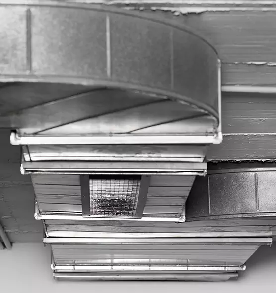 Professional Air Duct Pet Hair Removal in Leawood, KS